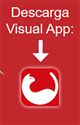 visual app